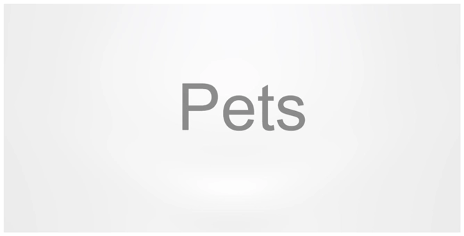 Essential guide for expats bringing pets to Germany